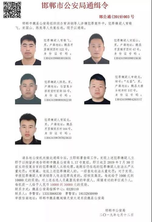 魏县最新爆料消息,揭秘当地热点事件背后的真相  第3张