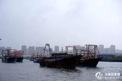 爆料渔船视频大全下载免费,免费下载渔船视频大全，尽享海洋魅力