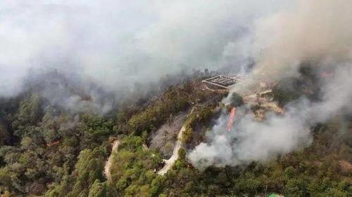 南安东大烧山最新爆料,揭秘神秘古墓背后的历史之谜  第3张